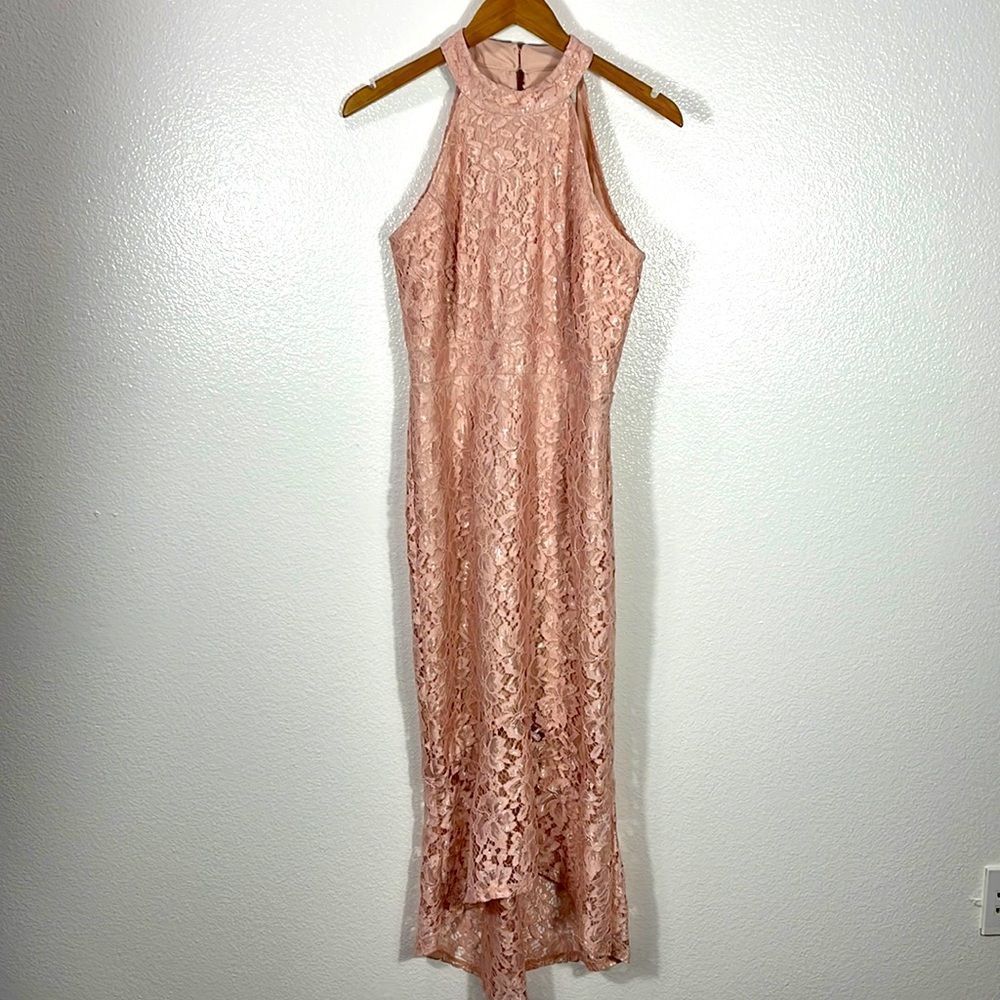 Enfocus Petite pink Lace Mermaid Silhouette Gown Semi-Formal 8P